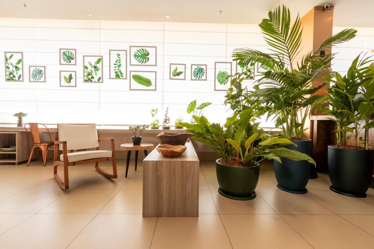 Ibis Styles Curitiba Aeroporto Hotel São José dos Pinhais Exterior foto